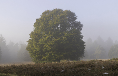 Het begin van de herfst 2021