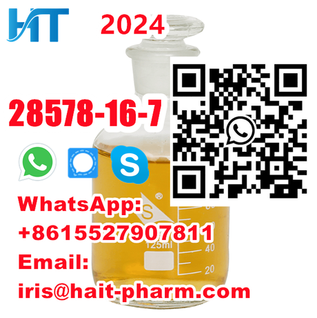 CAS 28578-16-7 PMK Powder PMK Liquid PMK Oil+8615527907811
