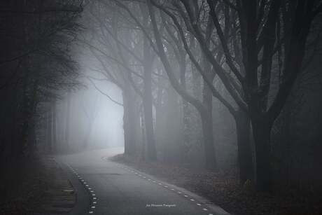 Mistige weg
