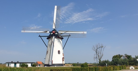 Witte molen