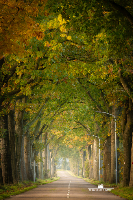 Herfst weggetje in Drenthe