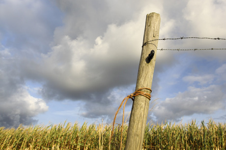 Wolken