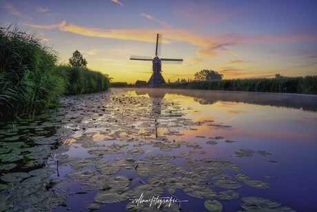 Oudendijkse molen