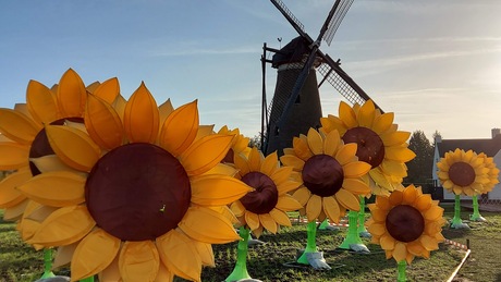 Molen Nuenen