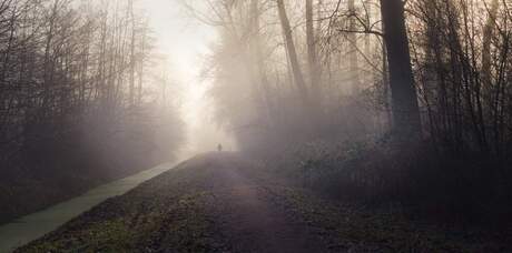 Walking in the mist