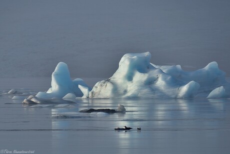 Magical Jökulsárlón