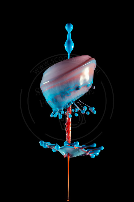 De Magie van een Waterdruppel 