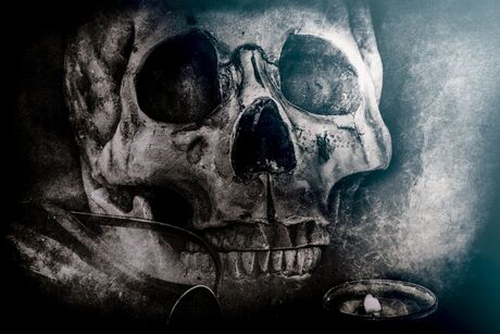 Skull