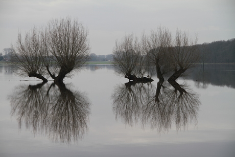 Hoog maaswater