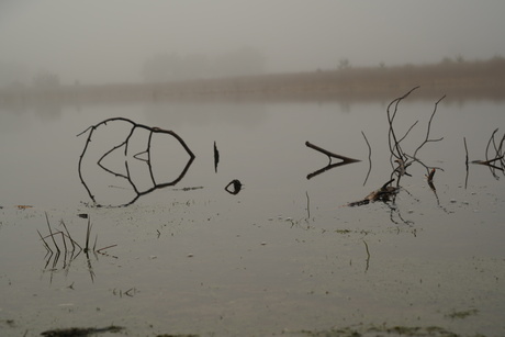 Ven in de mist