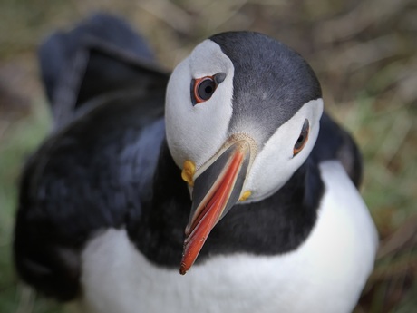 Moet ik nu echt op de foto?
