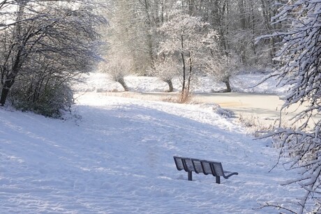 Winterlandschap