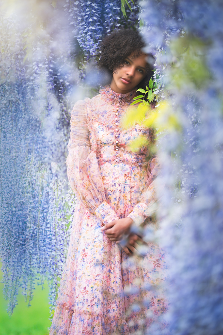 Wisteria whispers what hearts can't say
