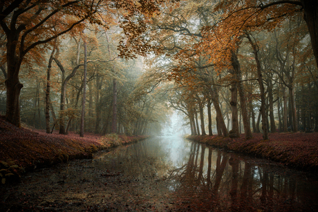 Mistige herfst ochtend