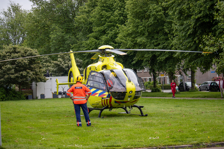 lifeliner 4