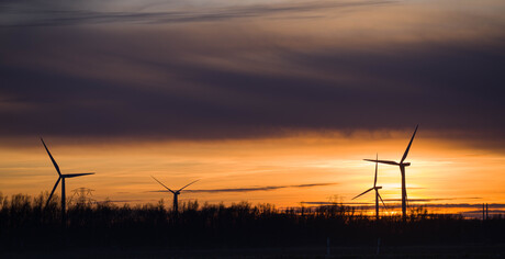 Avond rood 20 januari 2024