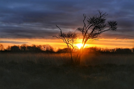 African sunrise