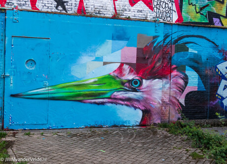 Fraaie graffity art vogel is Maasticht