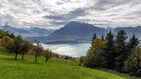 Zicht op de Thunersee Zwitserland