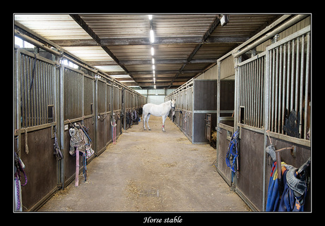 Horse stable