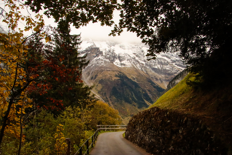 Herfst kleuren in Zwitserland