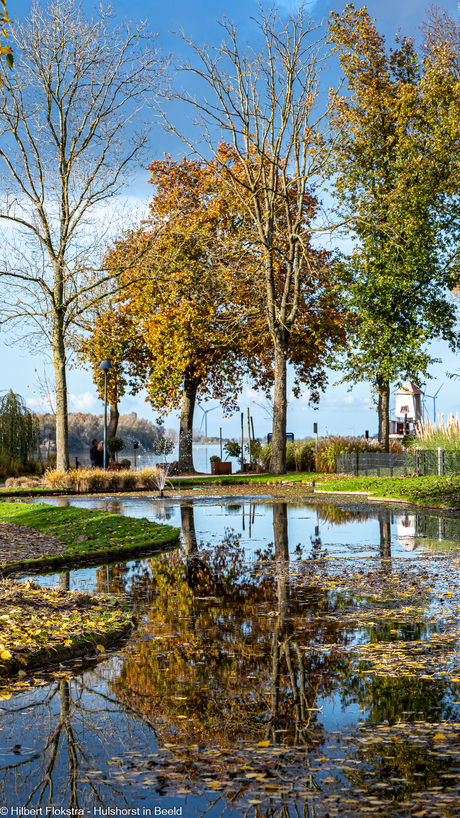 Herfstboom weerspiegeling