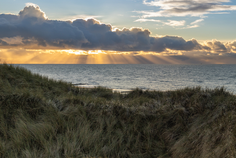 Het regent zonnestralen