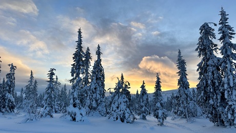 Zonsondergang in winters Zweden