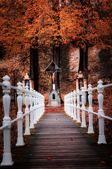 Herfst in Limburg