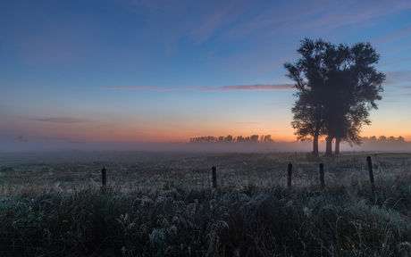 Mist in de polder