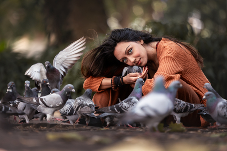 Duivenvrouwtje van Rotterdam