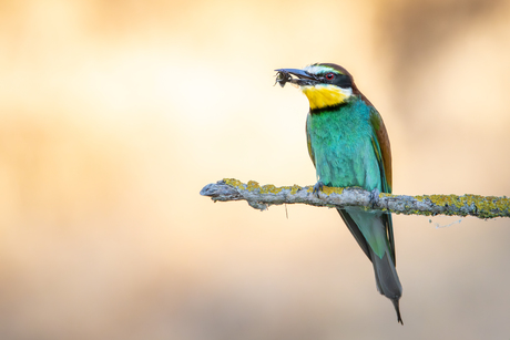 Een moment van rust..