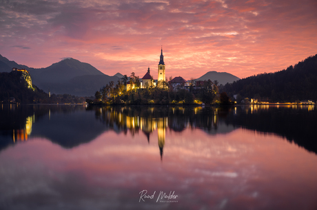 Bled in Red