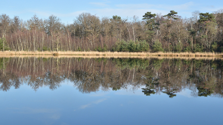 waterspiegeling