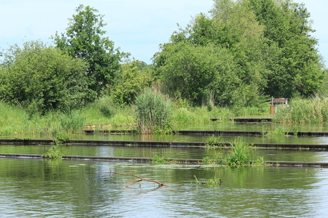 Waterschaps natuur