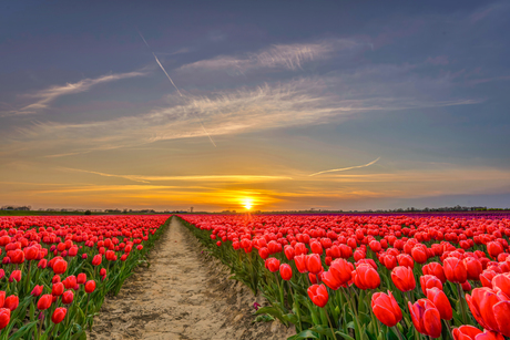 Bij zonsondergang...