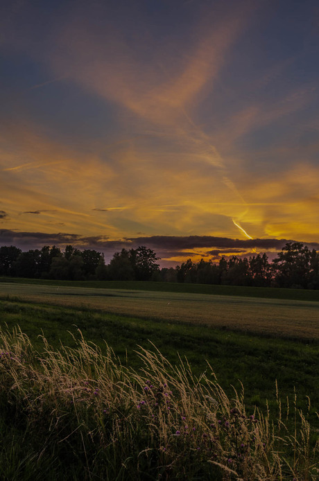 Landschap