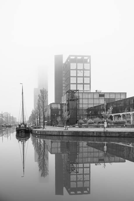 Een koude en mistige  dag in Leeuwarden