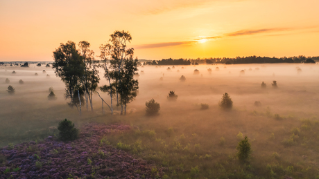 Zonsopkomst Strabrechtse heide