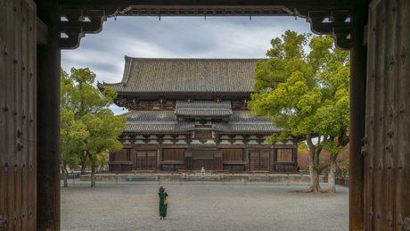 De Kondo van Tō-ji: Een Blik op Japanse Geschiedenis
