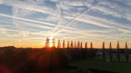 Zonsondergang achter populieren