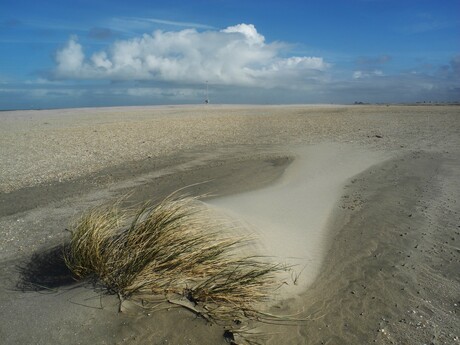 Sporen in het zand