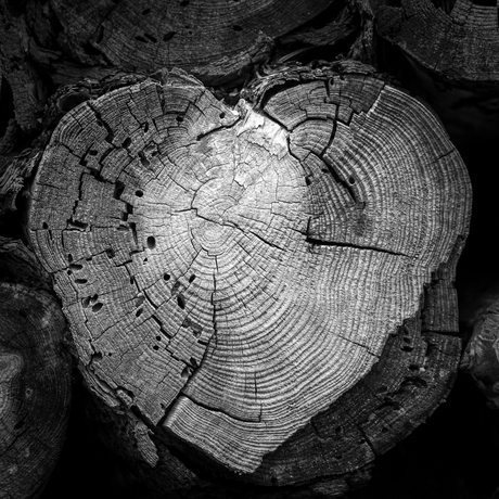 hartje van hout
