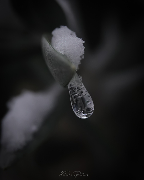 || Bevroren Moment ||