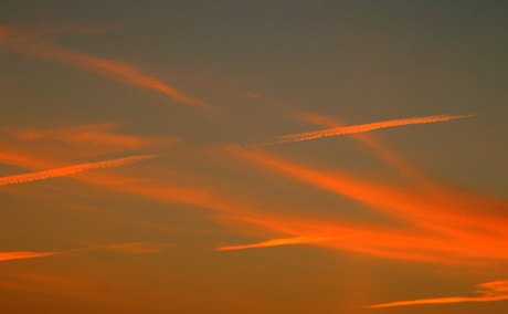 Gelukkig.................