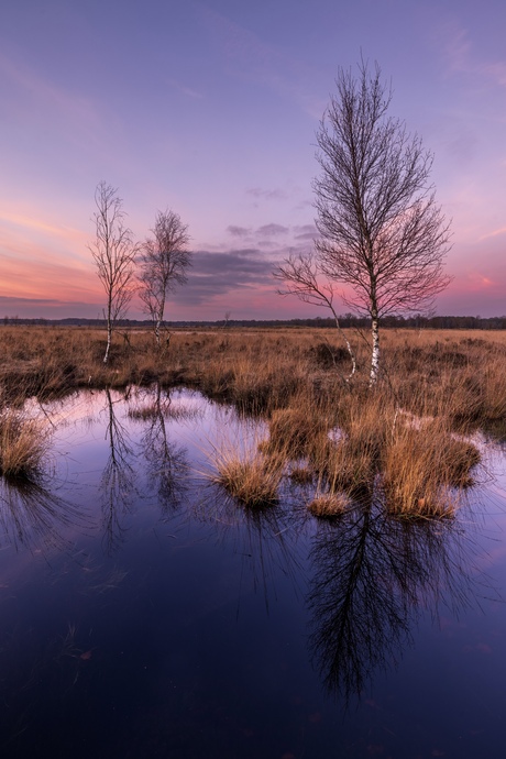 Blue hour