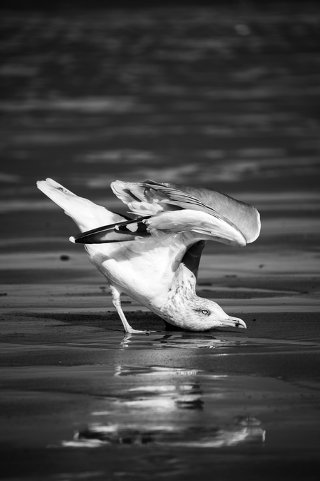 Ben ik een beetje boos?