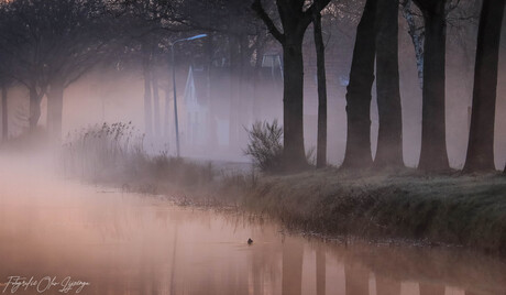 vroege ochtend