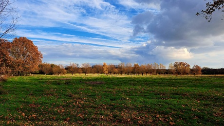 Wolken boven de zeggen