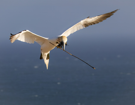 Everything seems oké 